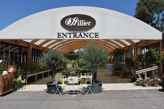 Hillier’s Nursery and Arboretum 